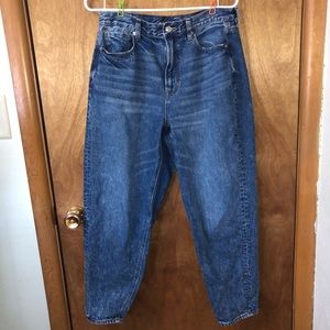 American Eagle Relaxed Mom Jeans